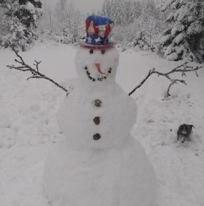 Meet your Posher, Shelley